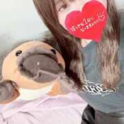 ヒメ日記 2025/09/17 20:02 投稿 みつは 夢幻 取手店