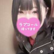 ヒメ日記 2025/03/02 17:48 投稿 みつは 夢幻（むげん）