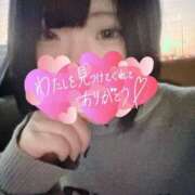 ヒメ日記 2025/04/10 15:00 投稿 みつは 夢幻（むげん）