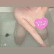 ヒメ日記 2025/04/12 12:15 投稿 みつは 夢幻（むげん）