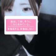 ヒメ日記 2025/06/23 16:56 投稿 みつは 夢幻（むげん）