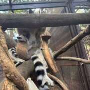 ヒメ日記 2025/08/03 22:49 投稿 みつは 夢幻（むげん）