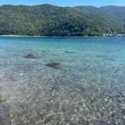 ヒメ日記 2025/09/09 19:01 投稿 みつは 夢幻（むげん）