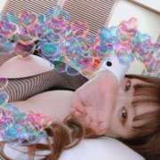 ヒメ日記 2025/03/01 07:49 投稿 ありす 丸妻 横浜本店