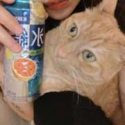 ヒメ日記 2025/03/15 19:00 投稿 ありす 丸妻 横浜本店