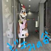 ヒメ日記 2025/03/20 14:56 投稿 ありす 丸妻 横浜本店