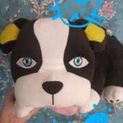 ヒメ日記 2025/03/21 09:19 投稿 ありす 丸妻 横浜本店