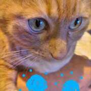 ヒメ日記 2025/03/26 22:02 投稿 ありす 丸妻 横浜本店