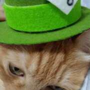 ヒメ日記 2025/04/01 08:42 投稿 ありす 丸妻 横浜本店