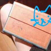 ヒメ日記 2025/04/02 09:10 投稿 ありす 丸妻 横浜本店