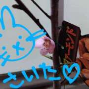 ヒメ日記 2025/04/02 14:30 投稿 ありす 丸妻 横浜本店