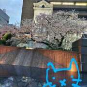 ヒメ日記 2025/04/03 20:08 投稿 ありす 丸妻 横浜本店