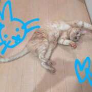 ヒメ日記 2025/04/03 20:54 投稿 ありす 丸妻 横浜本店