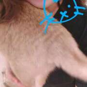 ヒメ日記 2025/04/03 21:16 投稿 ありす 丸妻 横浜本店