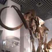 ヒメ日記 2025/04/06 11:05 投稿 ありす 丸妻 横浜本店