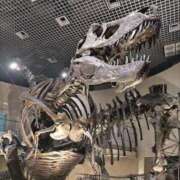 ヒメ日記 2025/04/10 08:56 投稿 ありす 丸妻 横浜本店