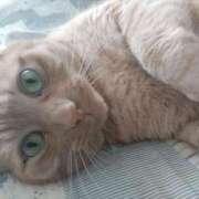 ヒメ日記 2025/04/11 06:59 投稿 ありす 丸妻 横浜本店