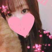 ヒメ日記 2025/04/17 12:29 投稿 ありす 丸妻 横浜本店