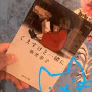 ヒメ日記 2025/04/17 19:11 投稿 ありす 丸妻 横浜本店