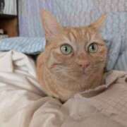 ヒメ日記 2025/04/20 11:53 投稿 ありす 丸妻 横浜本店