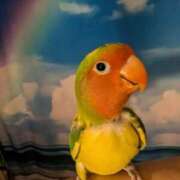 ヒメ日記 2025/04/25 08:33 投稿 ありす 丸妻 横浜本店