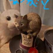 ヒメ日記 2025/04/27 22:06 投稿 ありす 丸妻 横浜本店