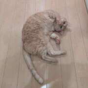 ヒメ日記 2025/04/28 07:14 投稿 ありす 丸妻 横浜本店