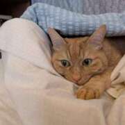 ヒメ日記 2025/04/29 08:57 投稿 ありす 丸妻 横浜本店