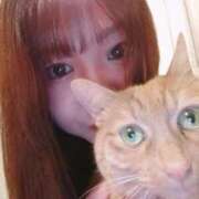 ヒメ日記 2025/05/02 07:24 投稿 ありす 丸妻 横浜本店