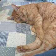 ヒメ日記 2025/05/03 20:10 投稿 ありす 丸妻 横浜本店