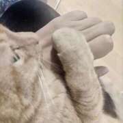 ヒメ日記 2025/05/05 07:24 投稿 ありす 丸妻 横浜本店