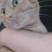 ヒメ日記 2025/05/06 07:57 投稿 ありす 丸妻 横浜本店