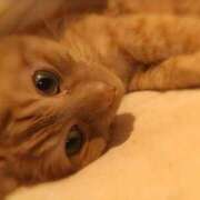 ヒメ日記 2025/05/08 06:27 投稿 ありす 丸妻 横浜本店