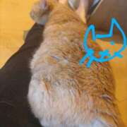 ヒメ日記 2025/05/09 20:41 投稿 ありす 丸妻 横浜本店