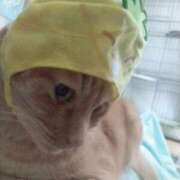 ヒメ日記 2025/05/12 09:10 投稿 ありす 丸妻 横浜本店