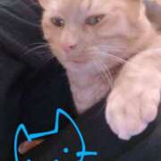 ヒメ日記 2025/05/12 19:19 投稿 ありす 丸妻 横浜本店