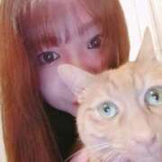 ヒメ日記 2025/05/14 09:45 投稿 ありす 丸妻 横浜本店