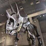 ヒメ日記 2025/05/16 19:23 投稿 ありす 丸妻 横浜本店