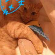 ヒメ日記 2025/05/23 09:45 投稿 ありす 丸妻 横浜本店