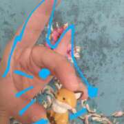 ヒメ日記 2025/05/28 08:35 投稿 ありす 丸妻 横浜本店