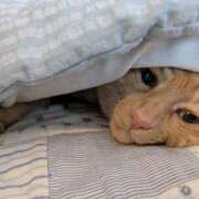 ヒメ日記 2025/06/06 06:33 投稿 ありす 丸妻 横浜本店