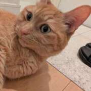 ヒメ日記 2025/06/16 20:01 投稿 ありす 丸妻 横浜本店