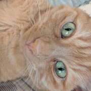 ヒメ日記 2025/06/27 22:30 投稿 ありす 丸妻 横浜本店