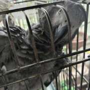 ヒメ日記 2025/06/28 09:01 投稿 ありす 丸妻 横浜本店