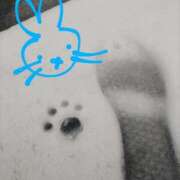 ヒメ日記 2025/06/28 09:30 投稿 ありす 丸妻 横浜本店