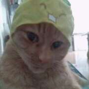 ヒメ日記 2025/06/28 22:01 投稿 ありす 丸妻 横浜本店