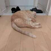 ヒメ日記 2025/07/02 14:01 投稿 ありす 丸妻 横浜本店