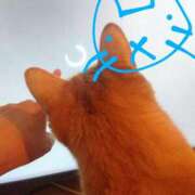 ヒメ日記 2025/07/30 18:25 投稿 ありす 丸妻 横浜本店