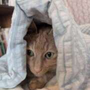 ヒメ日記 2025/08/20 19:44 投稿 ありす 丸妻 横浜本店