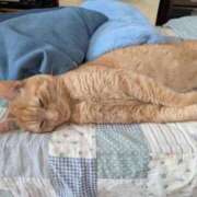 ヒメ日記 2025/08/21 13:34 投稿 ありす 丸妻 横浜本店